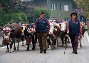 Il 29 ottobre la 17^ edizione della Desnalpà 3